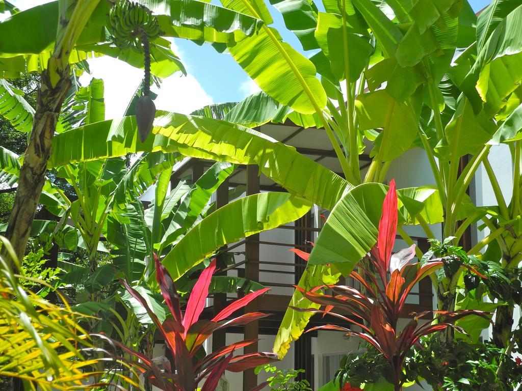 La Reserve Design Villa Ida Praia de Pipa Buitenkant foto
